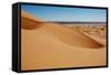 View of desert sand dunes, Grande Dune, Erg Chebbi, Sahara Desert-Derek Hall-Framed Stretched Canvas