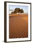 View of desert sand dunes with trees, Sahara, Morocco, may-Bernd Rohrschneider-Framed Photographic Print