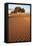 View of desert sand dunes with trees, Sahara, Morocco, may-Bernd Rohrschneider-Framed Stretched Canvas