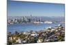 View of Devonport and Auckland Skyline, Auckland, North Island, New Zealand, Pacific-Ian-Mounted Photographic Print