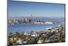 View of Devonport and Auckland Skyline, Auckland, North Island, New Zealand, Pacific-Ian-Mounted Photographic Print