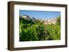 View of Diano Marina from Diano Castello, Imperia, Liguria, Italy, Europe-Frank Fell-Framed Photographic Print