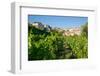 View of Diano Marina from Diano Castello, Imperia, Liguria, Italy, Europe-Frank Fell-Framed Photographic Print