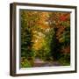 View of dirt road in autumn, Sutton, Quebec, Canada-null-Framed Photographic Print