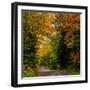 View of dirt road in autumn, Sutton, Quebec, Canada-null-Framed Photographic Print