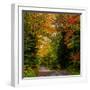 View of dirt road in autumn, Sutton, Quebec, Canada-null-Framed Photographic Print