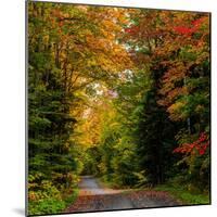 View of dirt road in autumn, Sutton, Quebec, Canada-null-Mounted Photographic Print