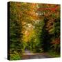 View of dirt road in autumn, Sutton, Quebec, Canada-null-Stretched Canvas