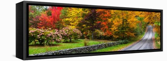 View of dirt road in autumn, Sutton, Quebec, Canada-null-Framed Stretched Canvas