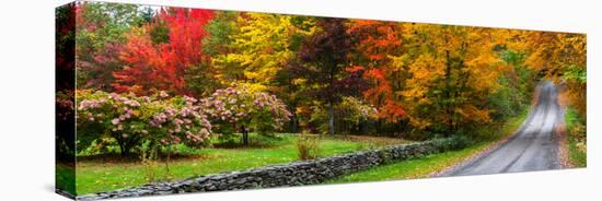 View of dirt road in autumn, Sutton, Quebec, Canada-null-Stretched Canvas