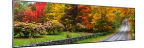 View of dirt road in autumn, Sutton, Quebec, Canada-null-Mounted Photographic Print