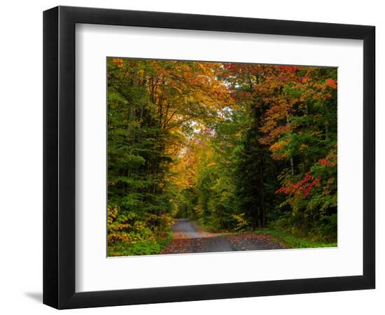 Premium Photographic Print, , large