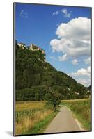 View of Donautal (Danube Valley)-Jochen Schlenker-Mounted Photographic Print