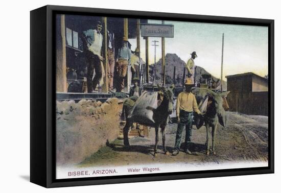 View of Donkeys Carrying Water - Bisbee, AZ-Lantern Press-Framed Stretched Canvas