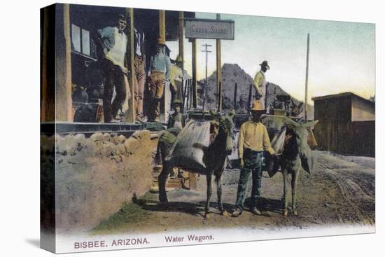 View of Donkeys Carrying Water - Bisbee, AZ-Lantern Press-Stretched Canvas