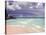 View of Dover Beach, Barbados, Caribbean-Walter Bibikow-Stretched Canvas