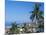 View of Downtown Puerto Vallarta and the Bay of Banderas, Mexico-Merrill Images-Mounted Photographic Print