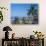 View of Downtown Puerto Vallarta and the Bay of Banderas, Mexico-Merrill Images-Photographic Print displayed on a wall