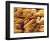 View of Ears of Organic Corn in Bussunaritz, Southwestern France, Saturday, October 28, 2006-Bob Edme-Framed Photographic Print