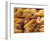 View of Ears of Organic Corn in Bussunaritz, Southwestern France, Saturday, October 28, 2006-Bob Edme-Framed Photographic Print
