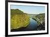 View of Ebernach and Moselle River (Mosel), Rhineland-Palatinate, Germany, Europe-Jochen Schlenker-Framed Photographic Print