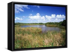 View of Eco Pond, Everglades National Park, Florida, USA-Adam Jones-Framed Stretched Canvas