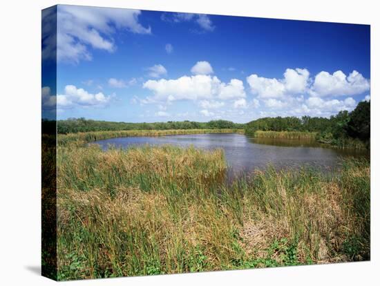 View of Eco Pond, Everglades National Park, Florida, USA-Adam Jones-Stretched Canvas