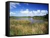 View of Eco Pond, Everglades National Park, Florida, USA-Adam Jones-Framed Stretched Canvas