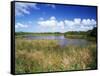 View of Eco Pond, Everglades National Park, Florida, USA-Adam Jones-Framed Stretched Canvas