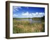 View of Eco Pond, Everglades National Park, Florida, USA-Adam Jones-Framed Premium Photographic Print