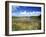 View of Eco Pond, Everglades National Park, Florida, USA-Adam Jones-Framed Premium Photographic Print