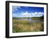 View of Eco Pond, Everglades National Park, Florida, USA-Adam Jones-Framed Premium Photographic Print