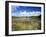 View of Eco Pond, Everglades National Park, Florida, USA-Adam Jones-Framed Premium Photographic Print