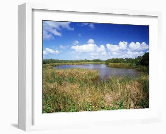 View of Eco Pond, Everglades National Park, Florida, USA-Adam Jones-Framed Premium Photographic Print