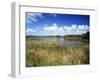 View of Eco Pond, Everglades National Park, Florida, USA-Adam Jones-Framed Premium Photographic Print