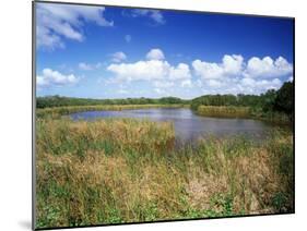 View of Eco Pond, Everglades National Park, Florida, USA-Adam Jones-Mounted Premium Photographic Print