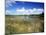 View of Eco Pond, Everglades National Park, Florida, USA-Adam Jones-Mounted Premium Photographic Print