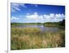 View of Eco Pond, Everglades National Park, Florida, USA-Adam Jones-Framed Premium Photographic Print