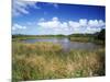 View of Eco Pond, Everglades National Park, Florida, USA-Adam Jones-Mounted Premium Photographic Print