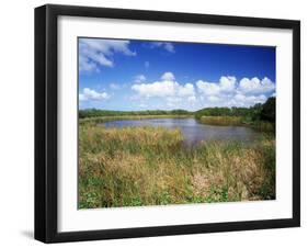 View of Eco Pond, Everglades National Park, Florida, USA-Adam Jones-Framed Photographic Print