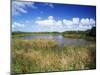 View of Eco Pond, Everglades National Park, Florida, USA-Adam Jones-Mounted Photographic Print
