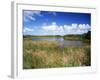 View of Eco Pond, Everglades National Park, Florida, USA-Adam Jones-Framed Photographic Print