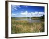 View of Eco Pond, Everglades National Park, Florida, USA-Adam Jones-Framed Photographic Print