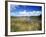 View of Eco Pond, Everglades National Park, Florida, USA-Adam Jones-Framed Photographic Print