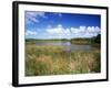 View of Eco Pond, Everglades National Park, Florida, USA-Adam Jones-Framed Photographic Print