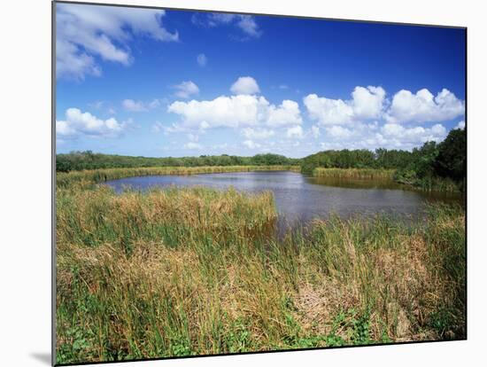 View of Eco Pond, Everglades National Park, Florida, USA-Adam Jones-Mounted Photographic Print