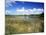 View of Eco Pond, Everglades National Park, Florida, USA-Adam Jones-Mounted Photographic Print