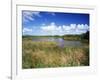 View of Eco Pond, Everglades National Park, Florida, USA-Adam Jones-Framed Photographic Print