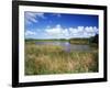 View of Eco Pond, Everglades National Park, Florida, USA-Adam Jones-Framed Photographic Print