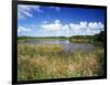 View of Eco Pond, Everglades National Park, Florida, USA-Adam Jones-Framed Photographic Print